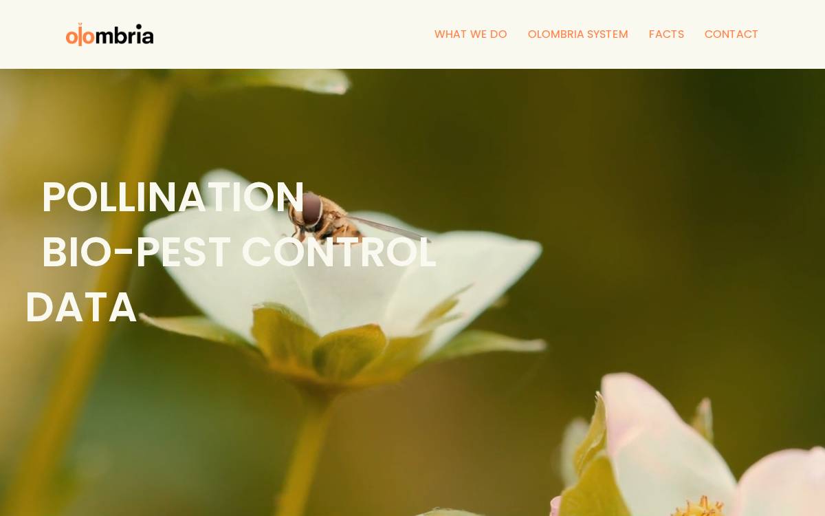 Olombria website preview