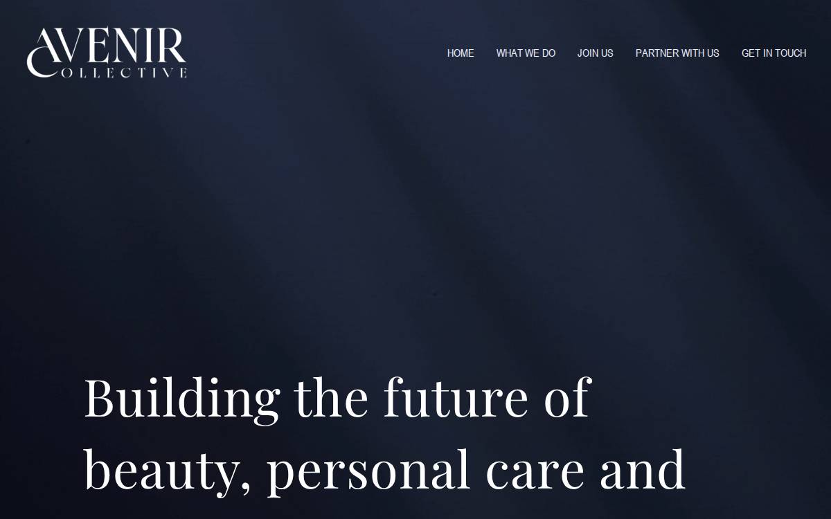 Olsam website preview