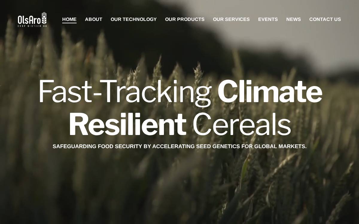 OlsAro website preview
