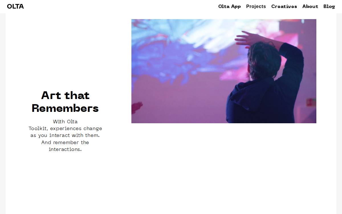 OLTA website preview