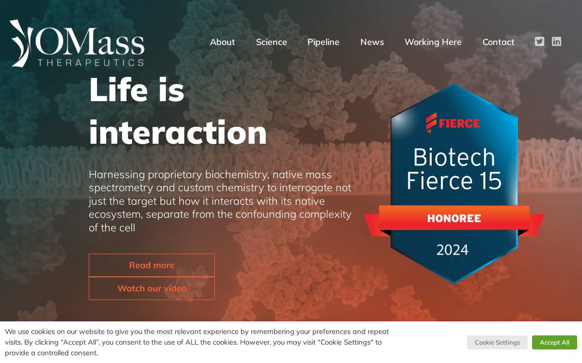 Omass website preview