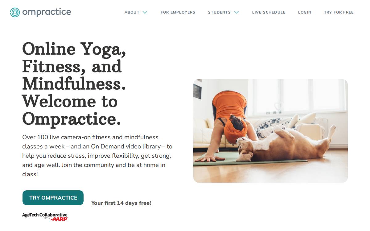 Ompractice website preview