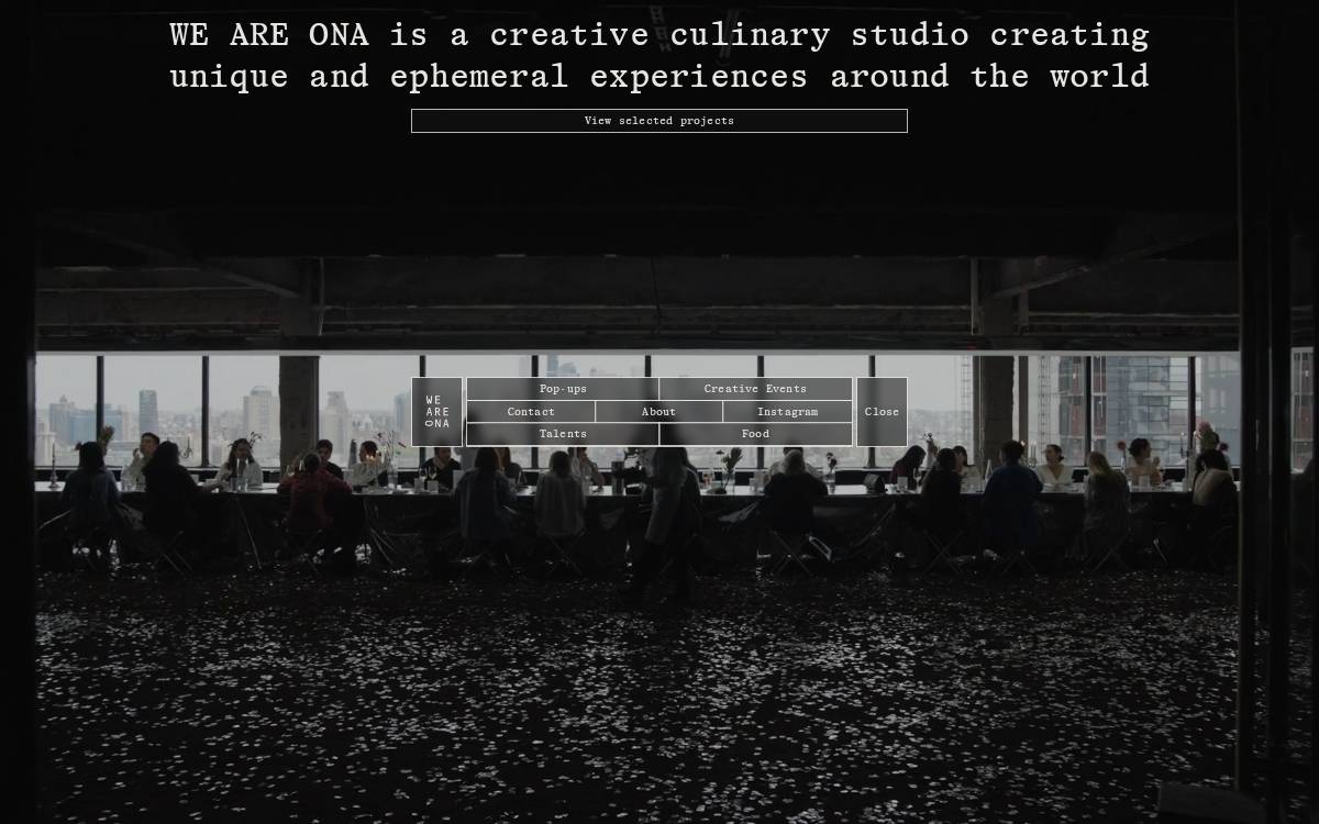 ONA website preview