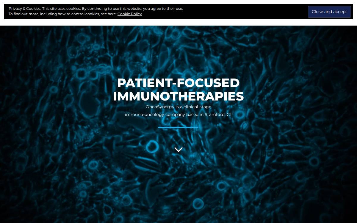 OncoSynergy website preview