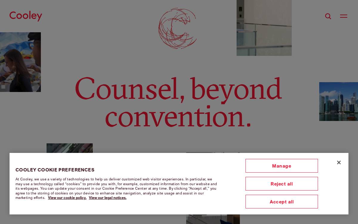One website preview