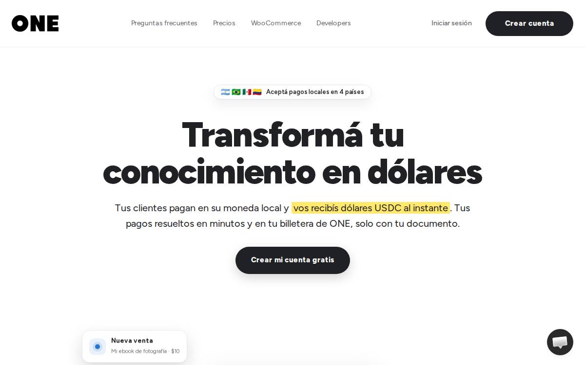 One website preview