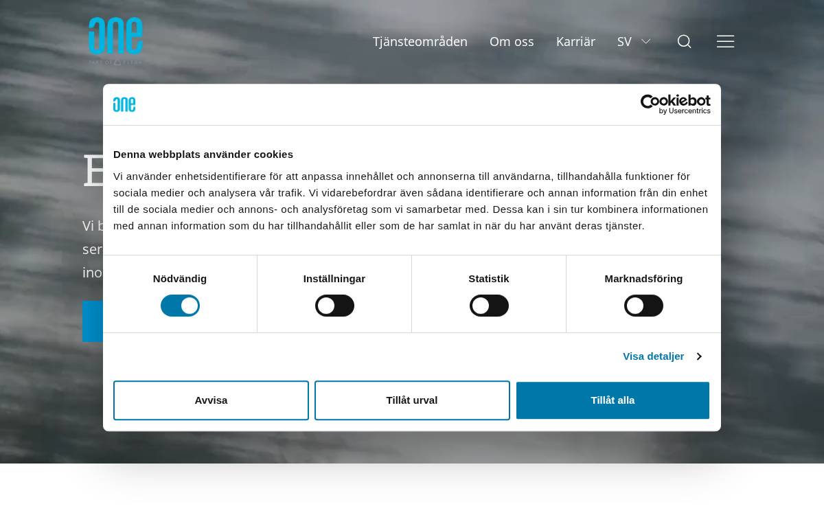 ONE website preview
