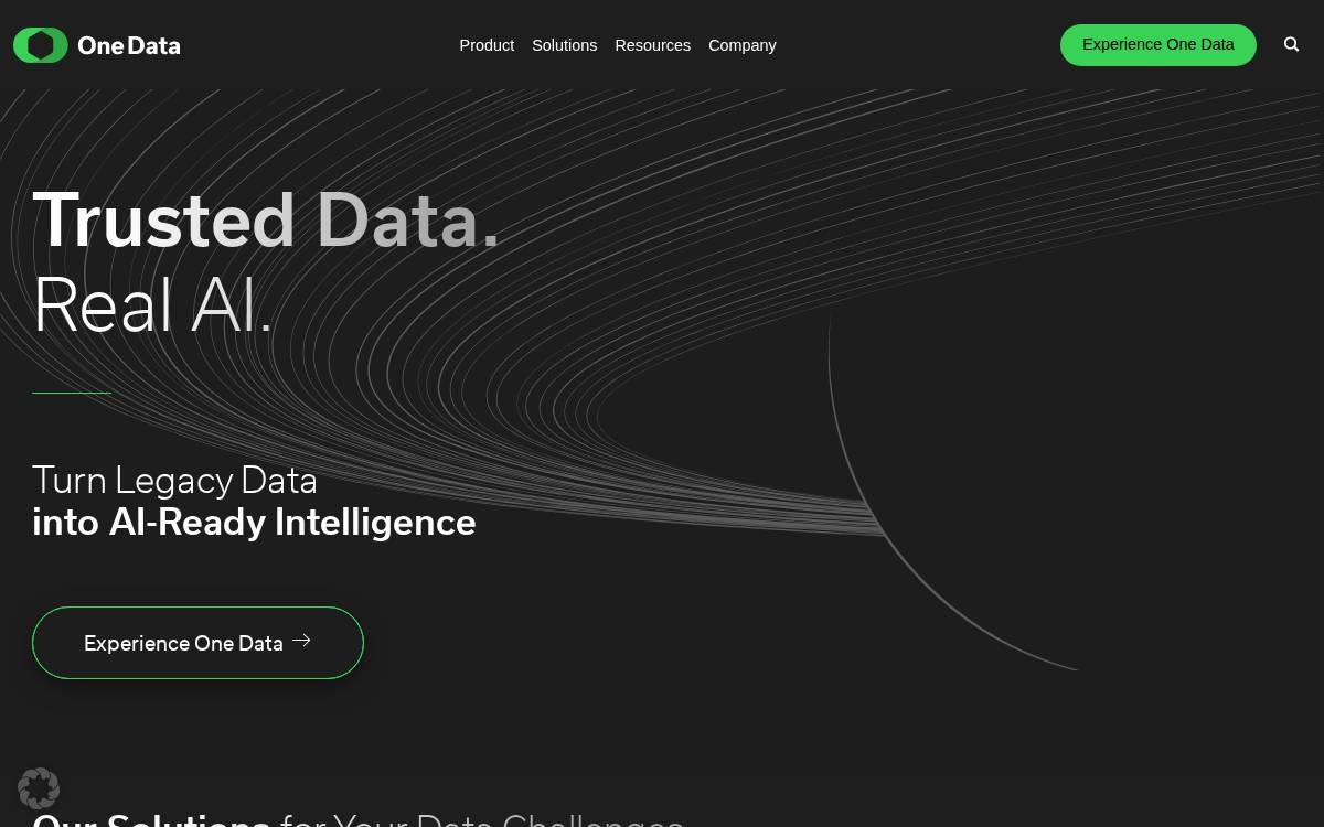 One Data website preview