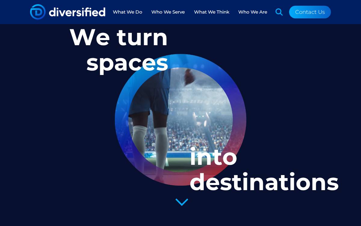 Onediversified website preview