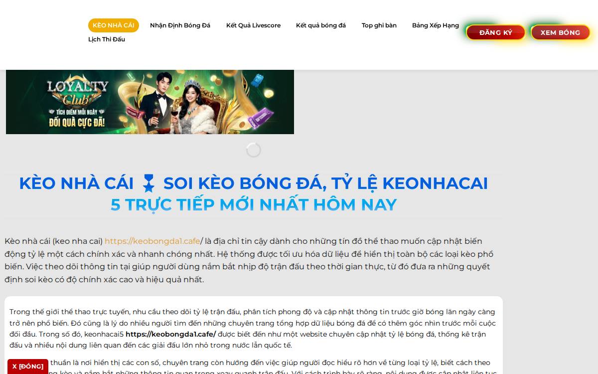 OneKey website preview