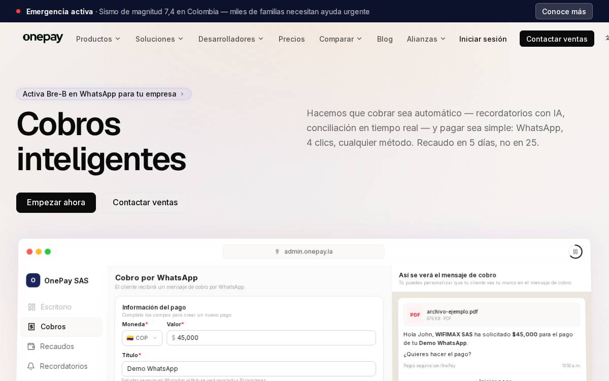 Onepay website preview