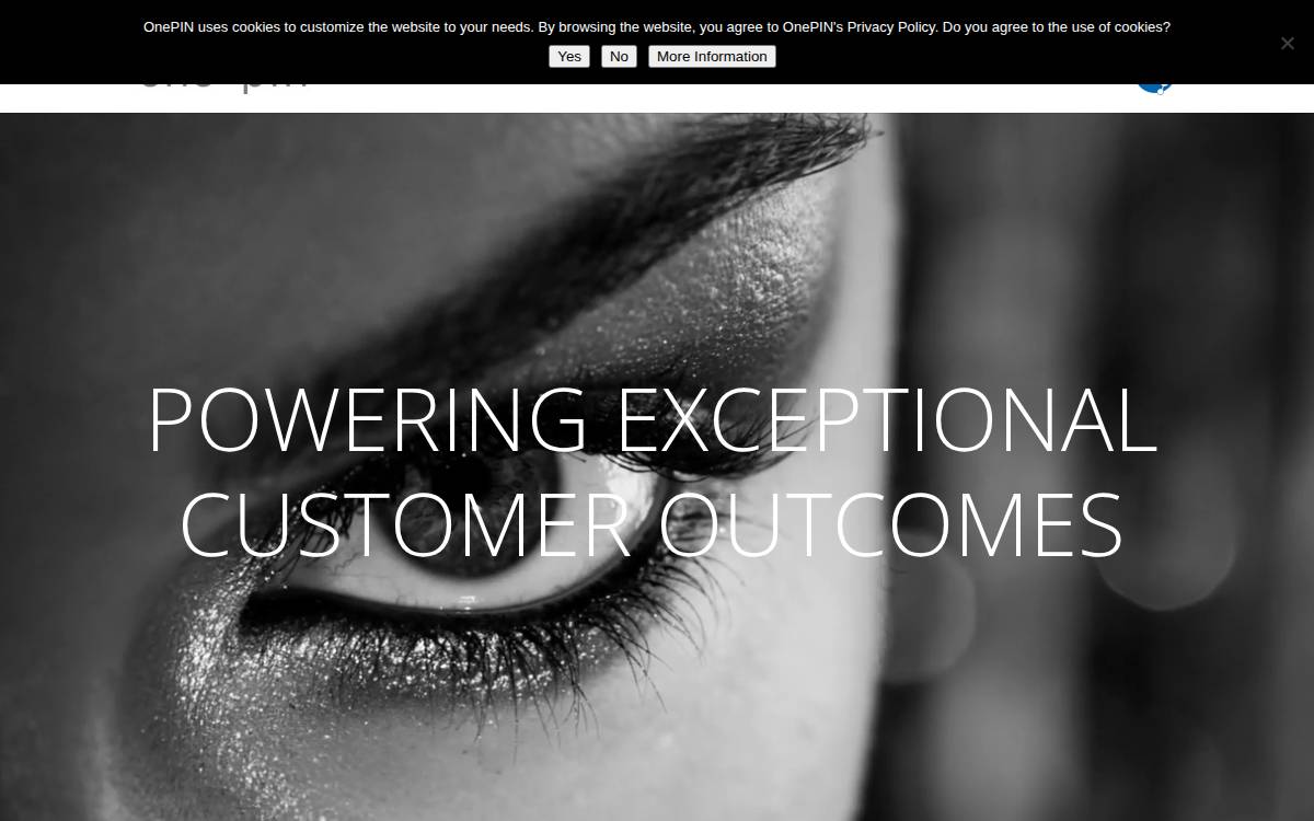 OnePIN website preview