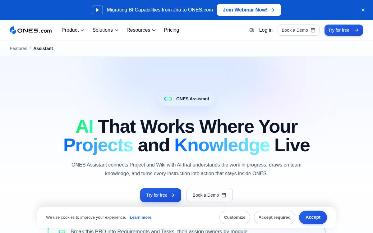 ONES website preview