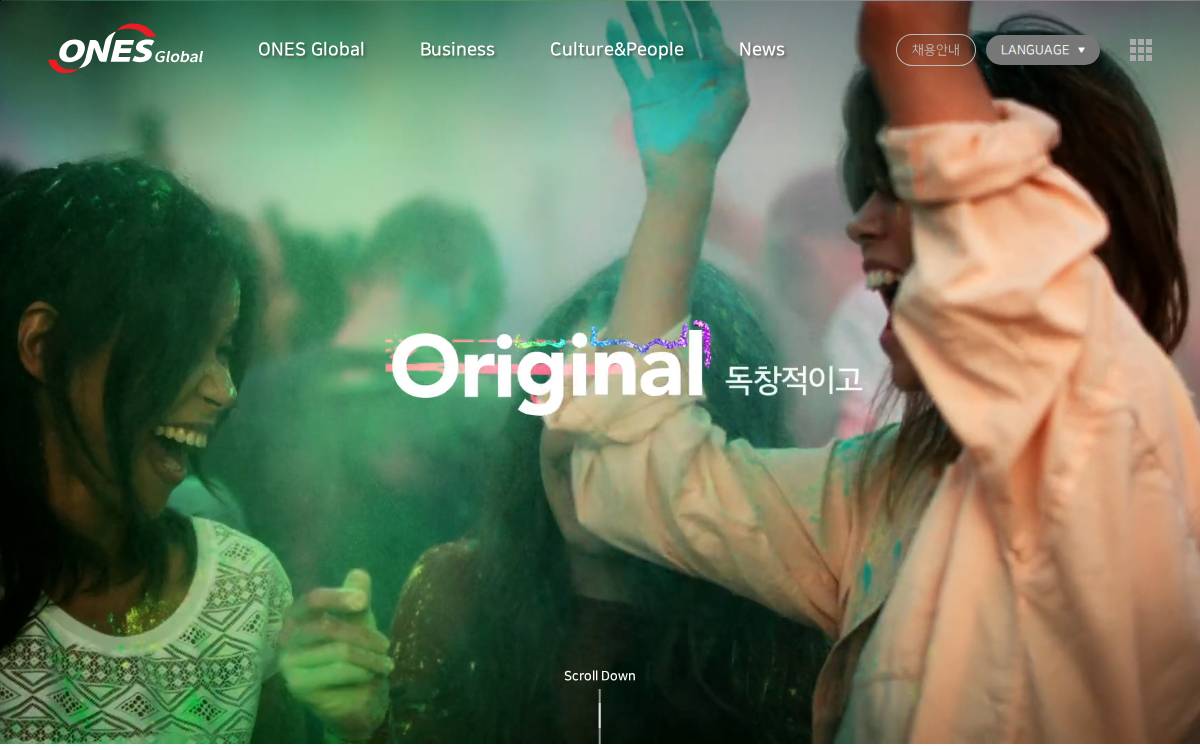 Onesglobal website preview