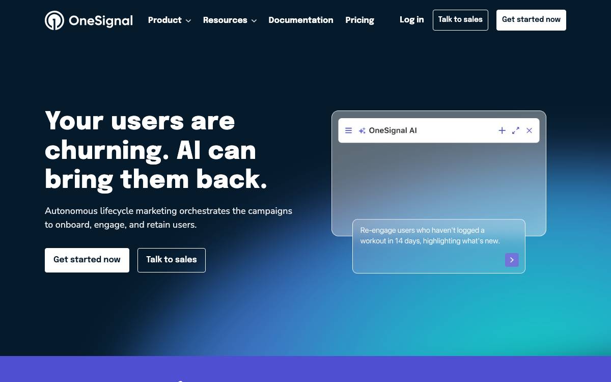 OneSignal website preview