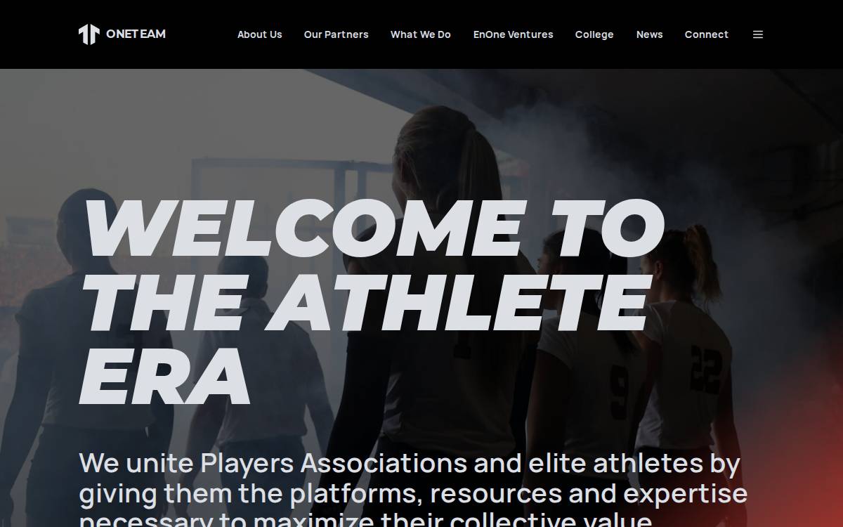 OneTeam Partners website preview