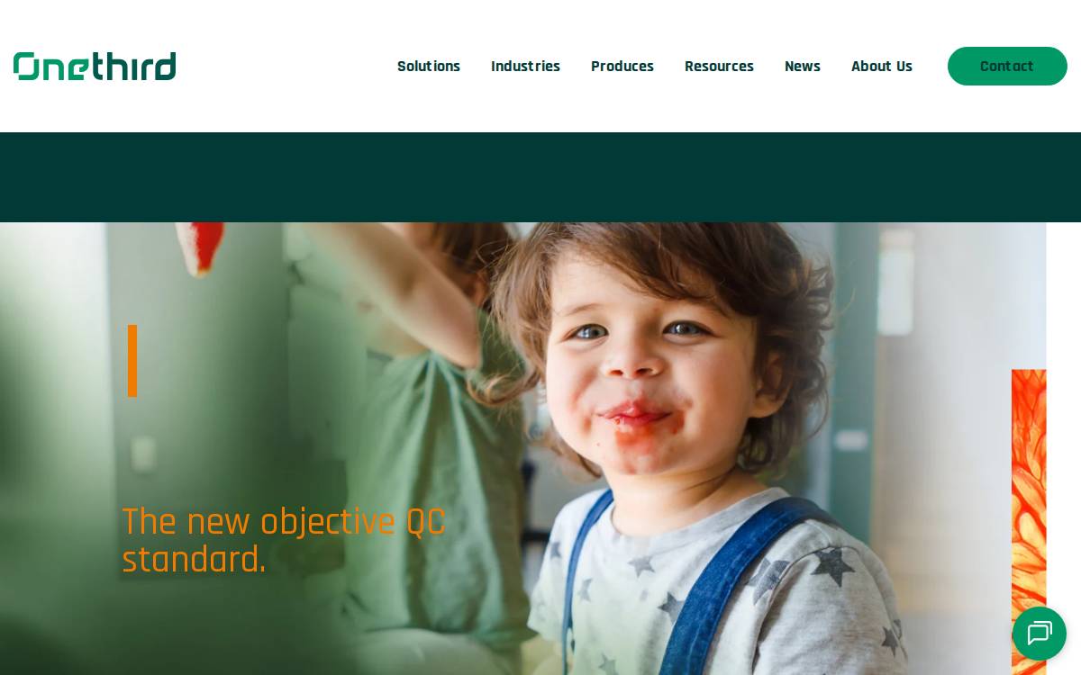 OneThird website preview