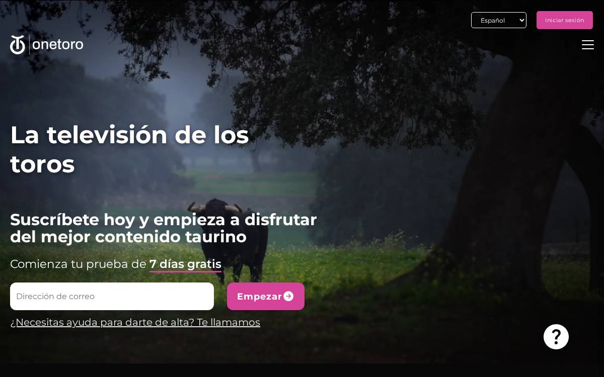 One Toro website preview