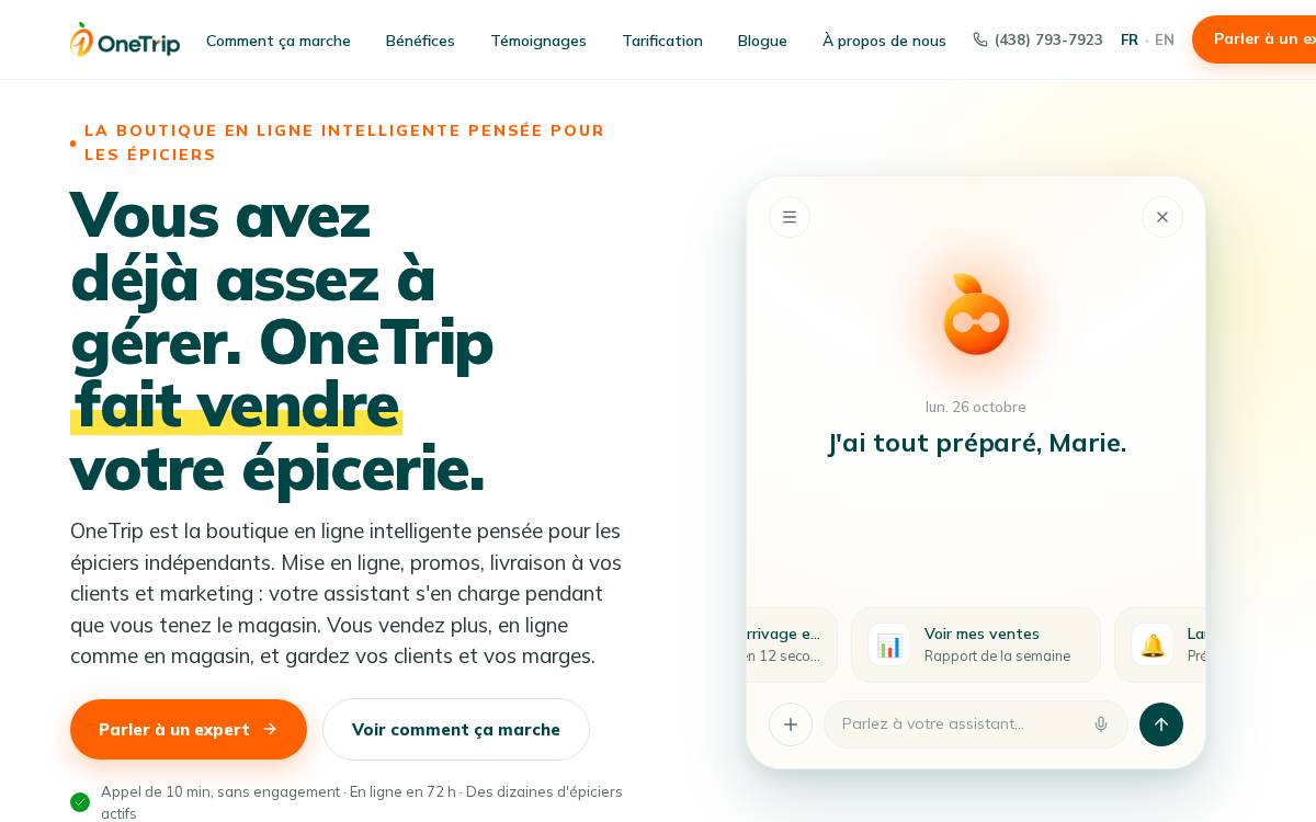 OneTrip Technologies website preview