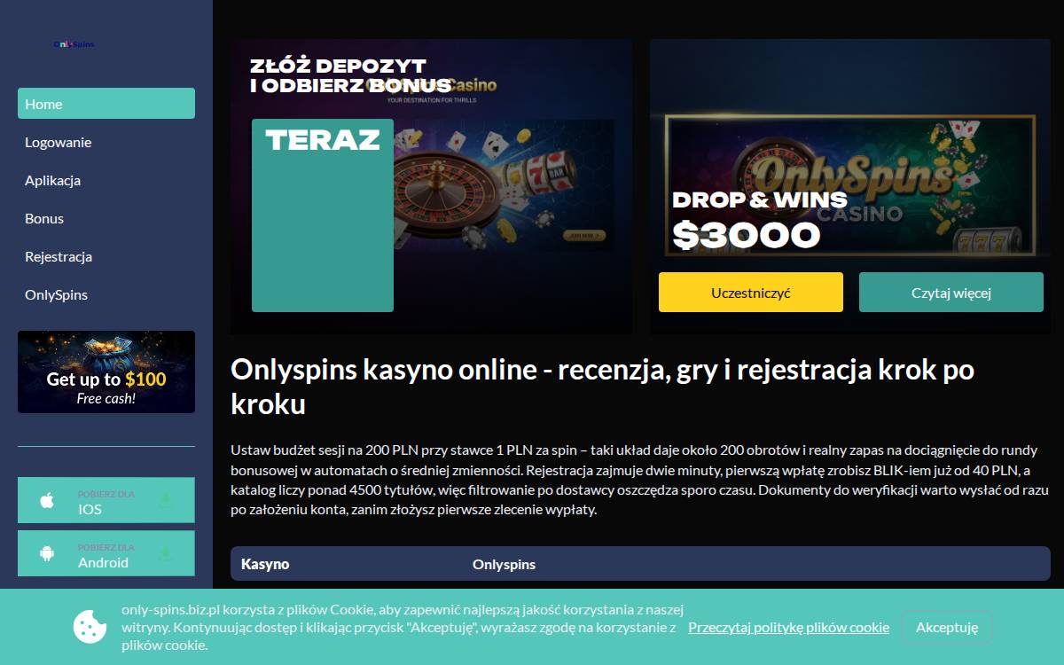only spins website preview
