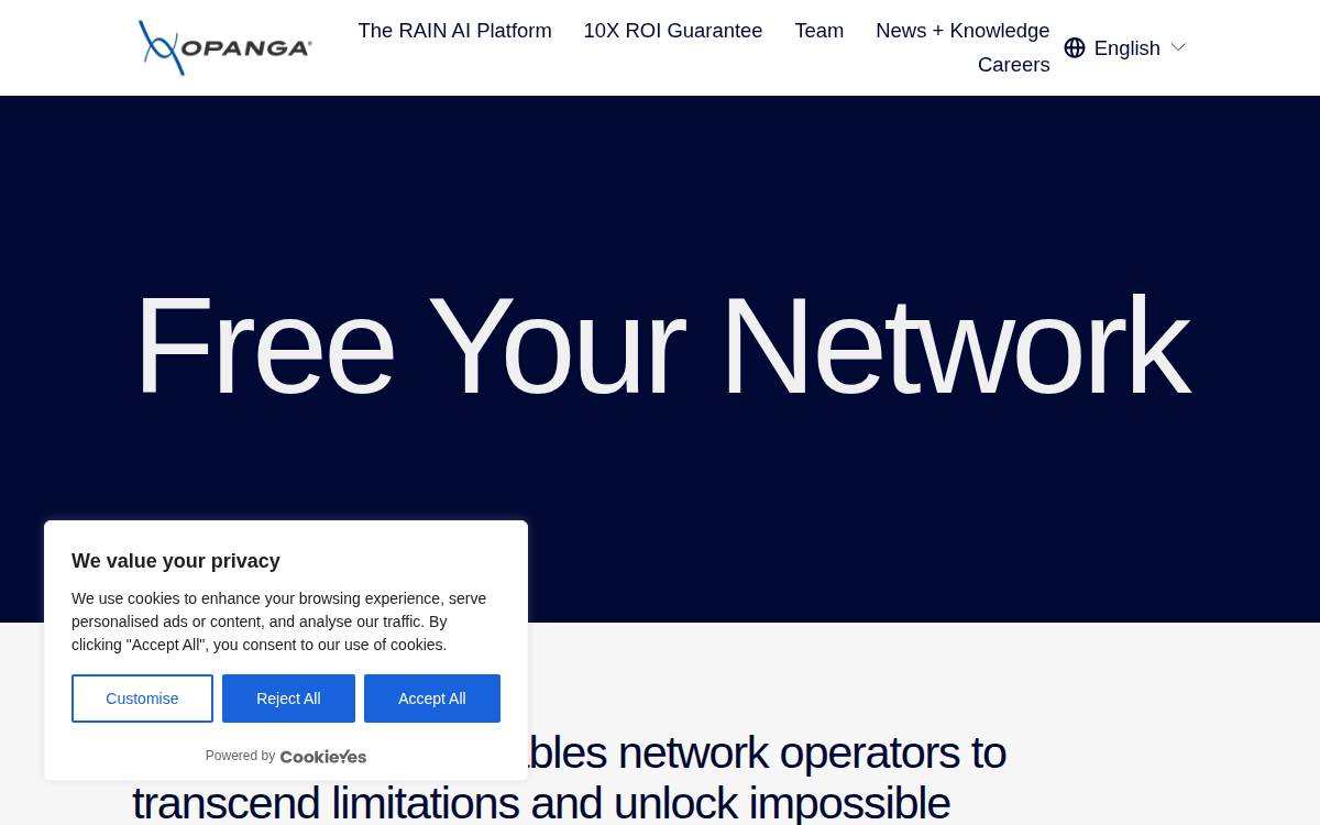 Opanga website preview