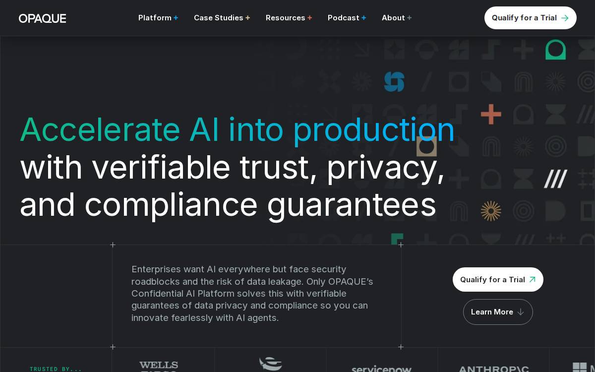 OPAQUE website preview