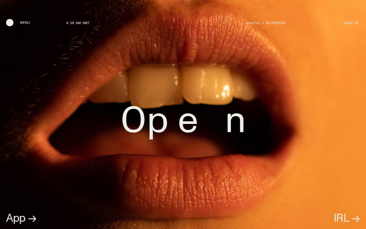 Open website preview
