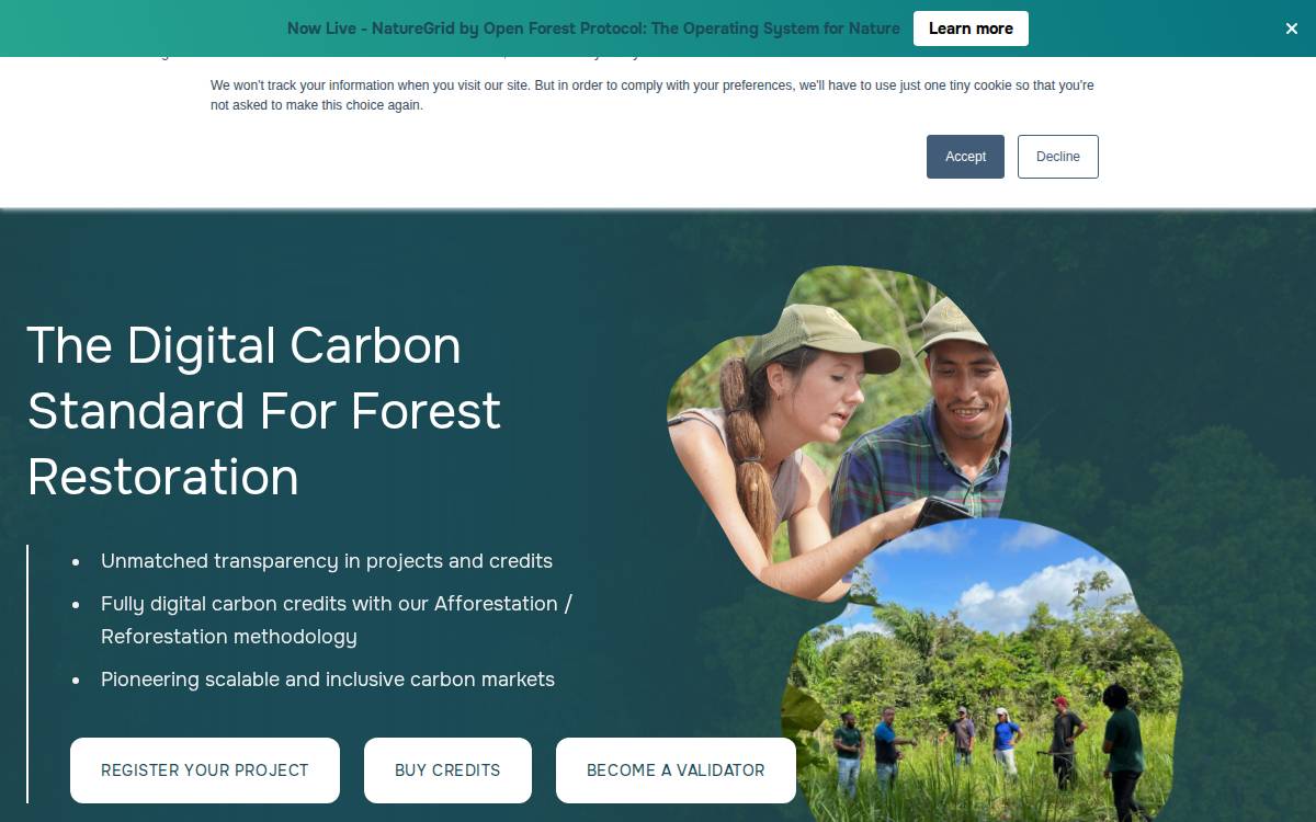 Open Forest website preview