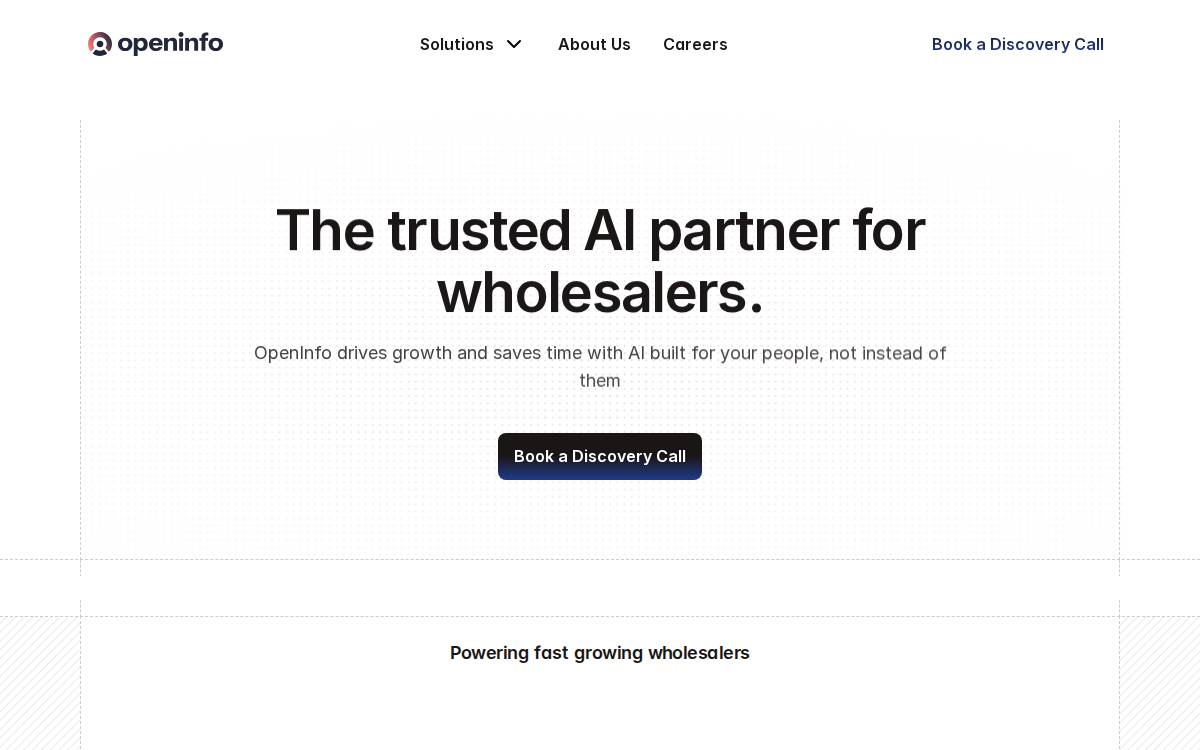Open Info website preview