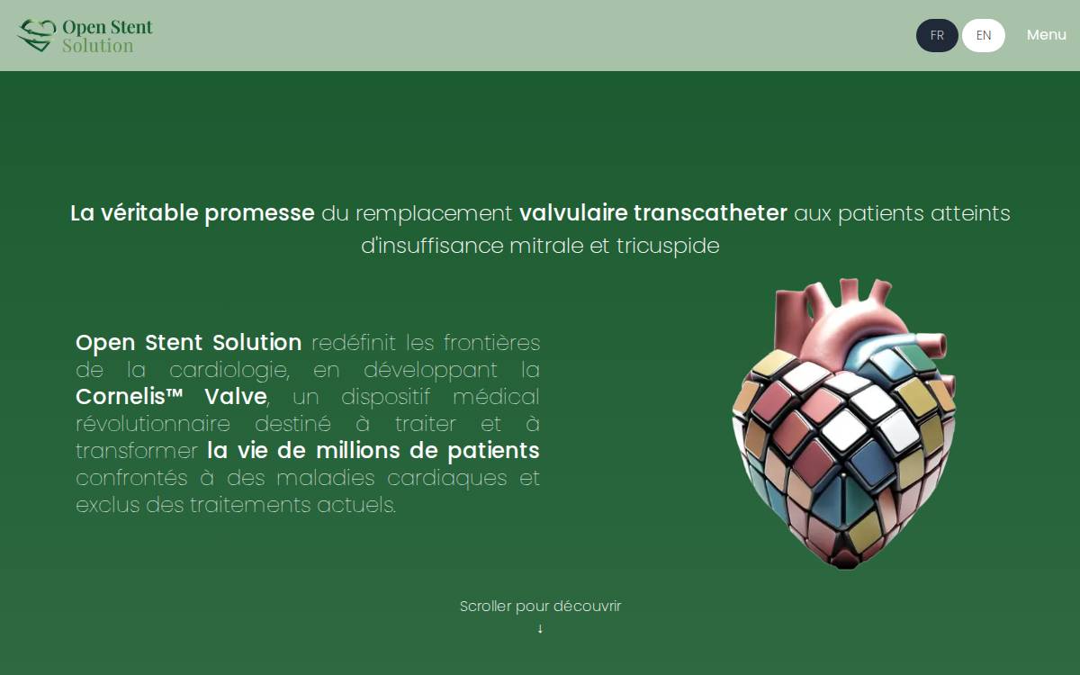 Open Stent Solution website preview