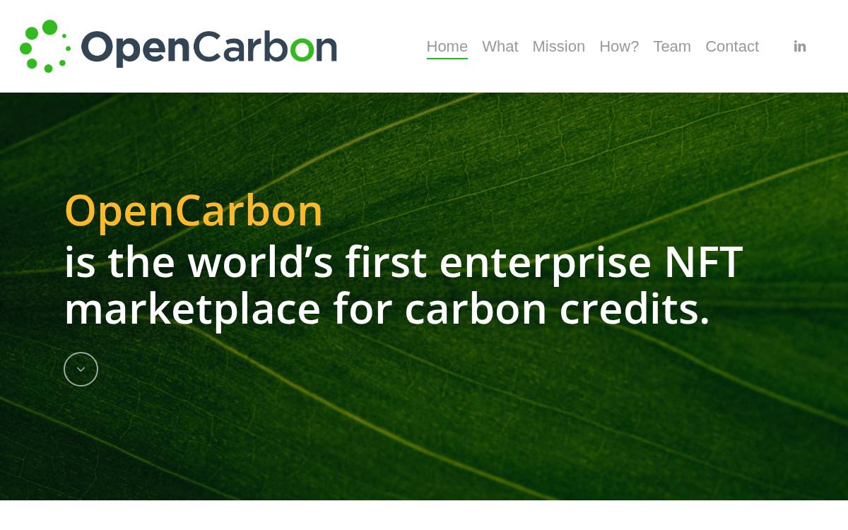 OpenCarbon website preview