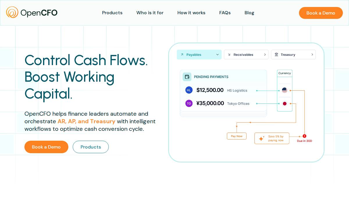 Opencfo website preview