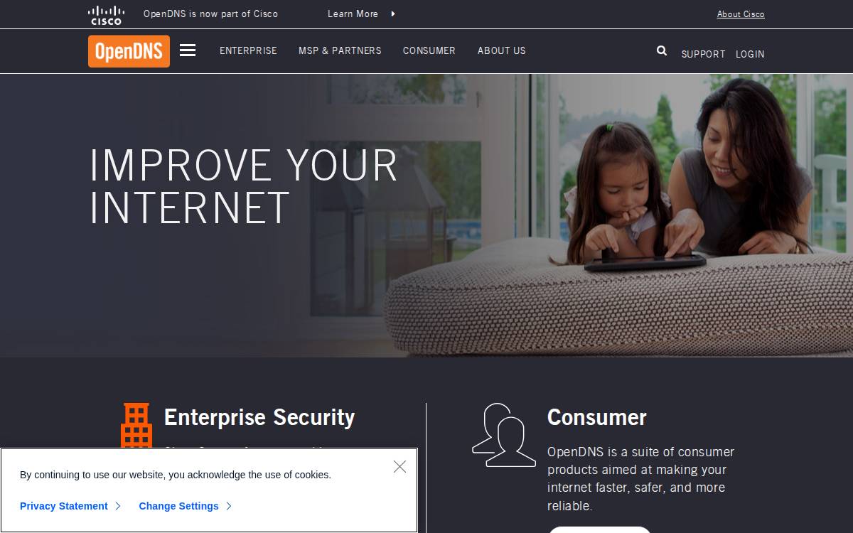 OpenDNS website preview