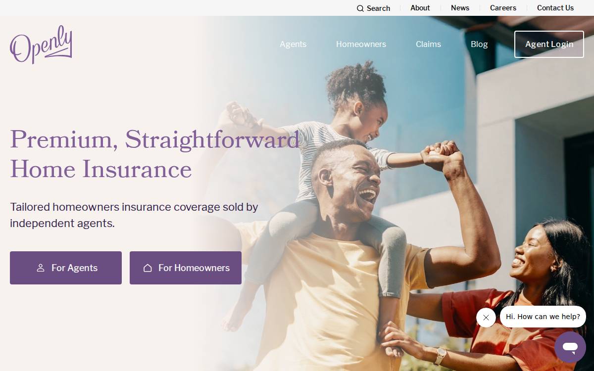 Openly website preview