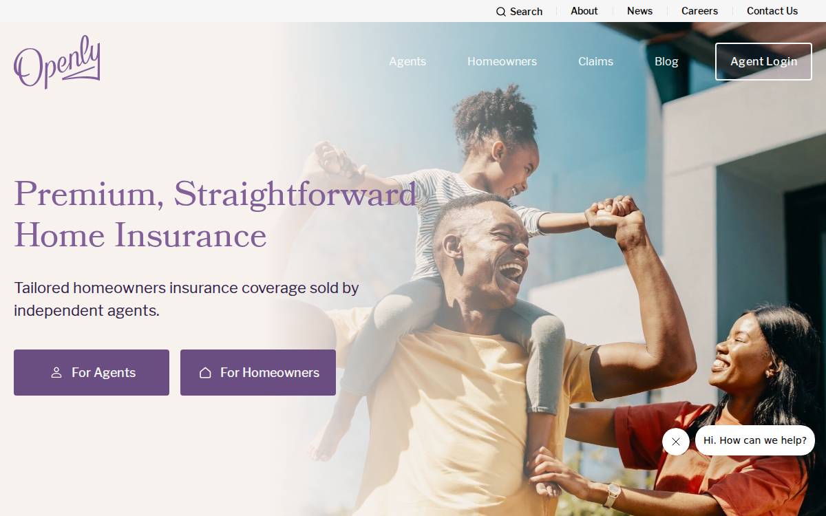 Openly website preview