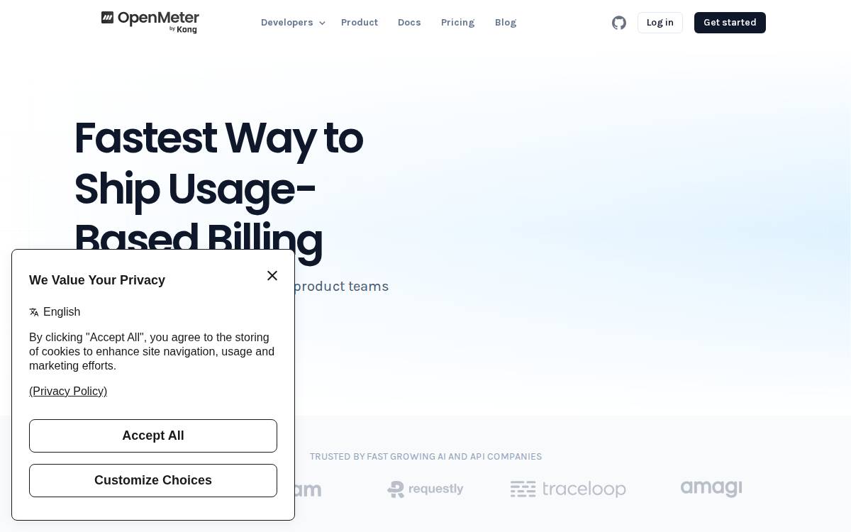 OpenMeter website preview