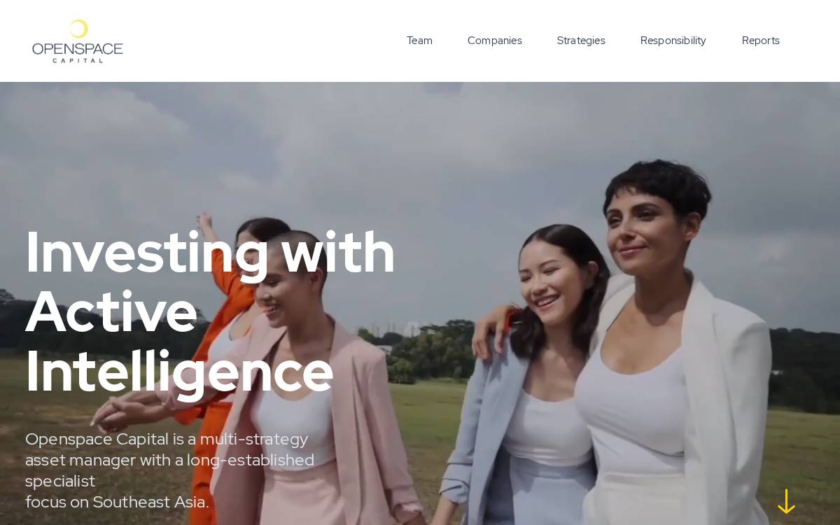 Openspace website preview