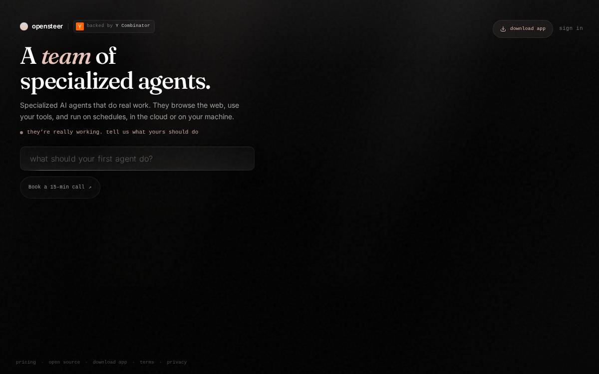 Opensteer website preview