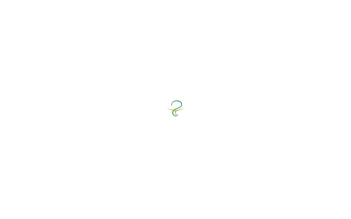 Opham website preview