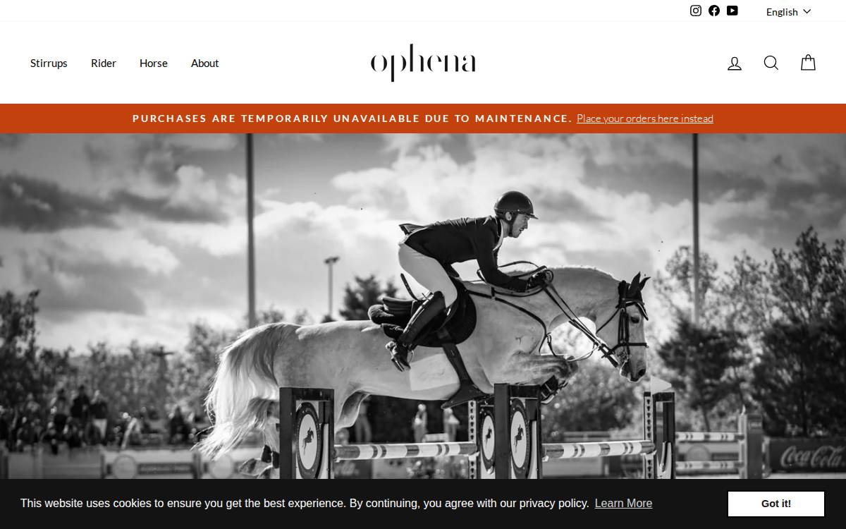 Ophena website preview