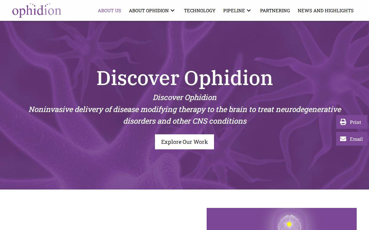 Ophidion website preview