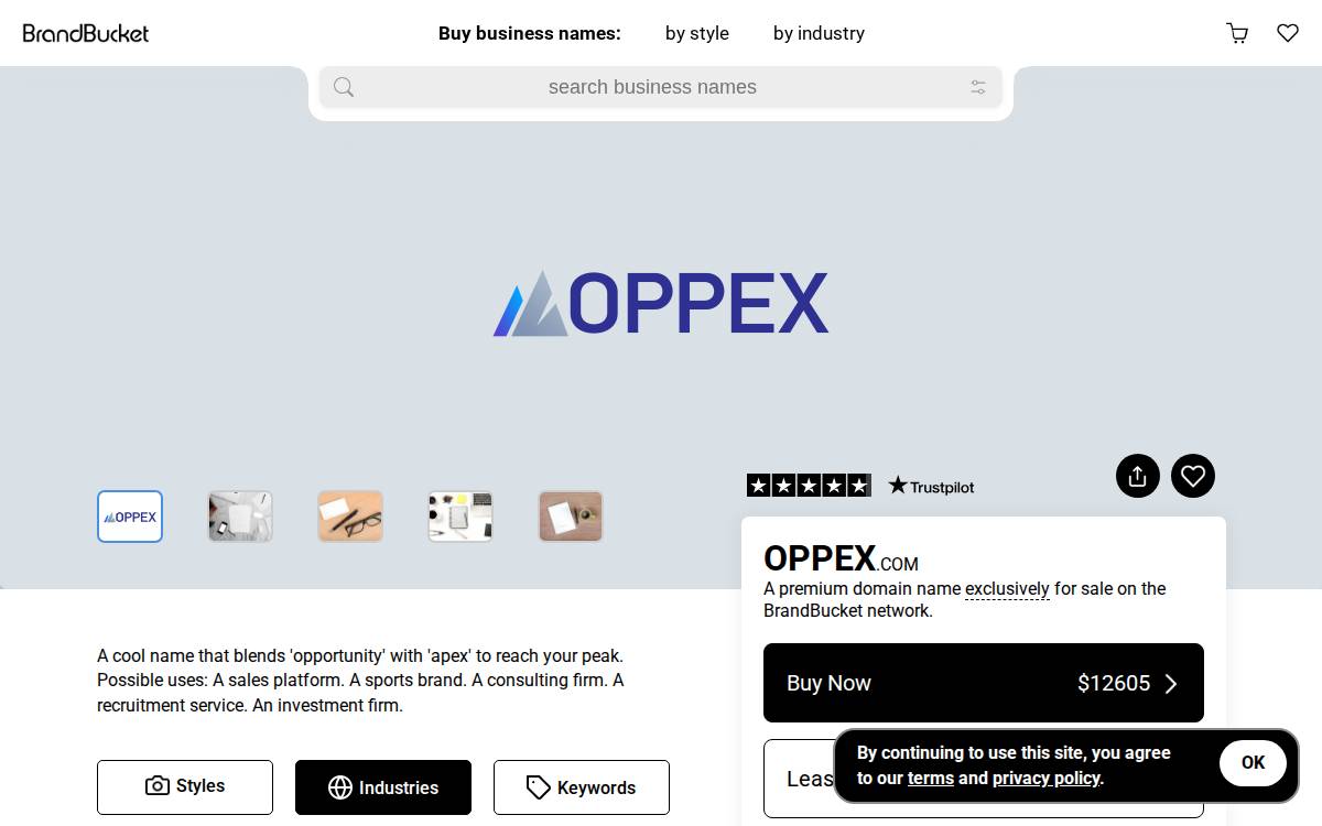 Oppex website preview