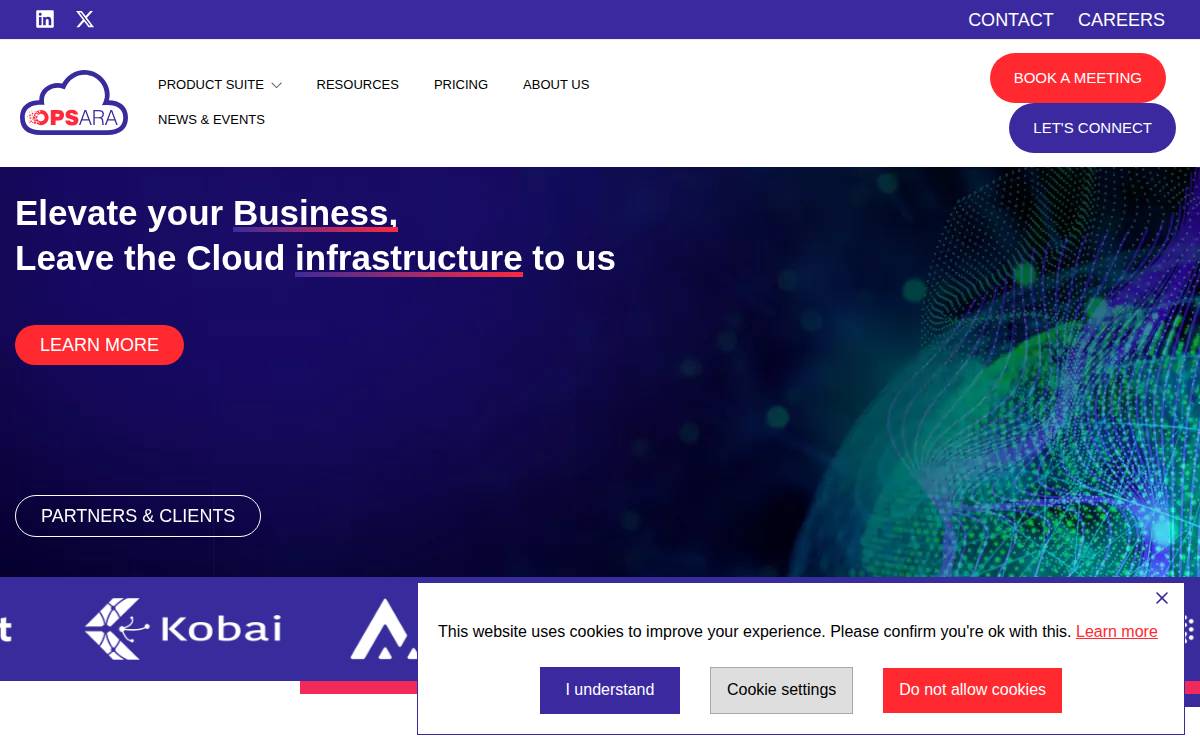 Opsara website preview