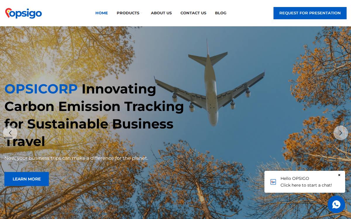 Opsigo website preview