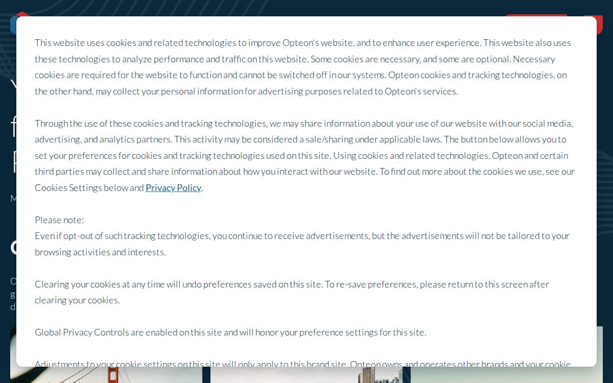 Opteonsolutions website preview