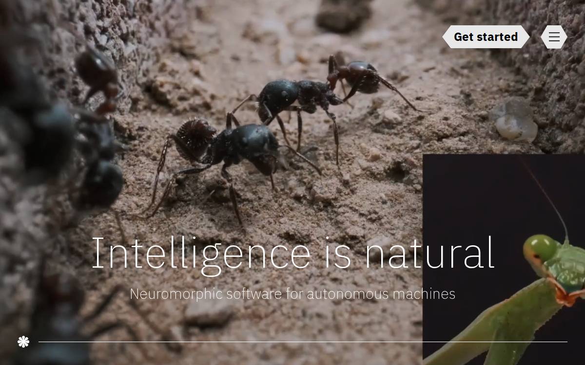 Opteran website preview
