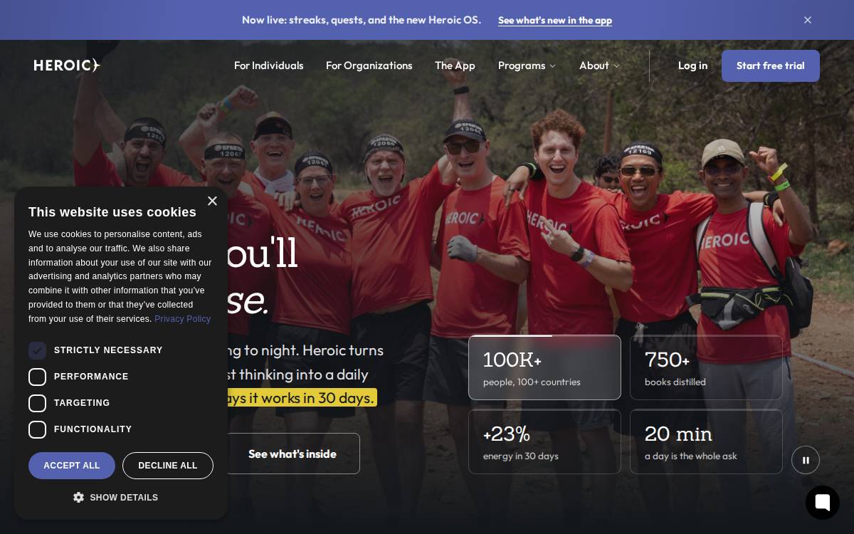 Optimize website preview