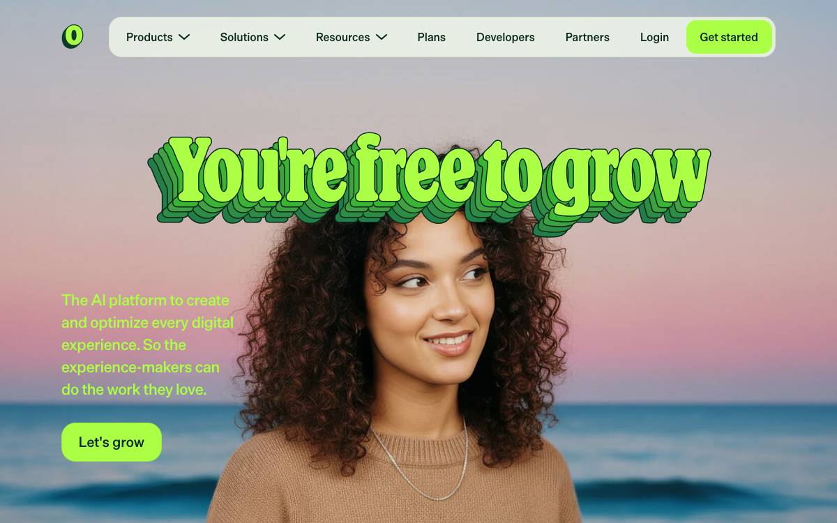 Optimizely website preview