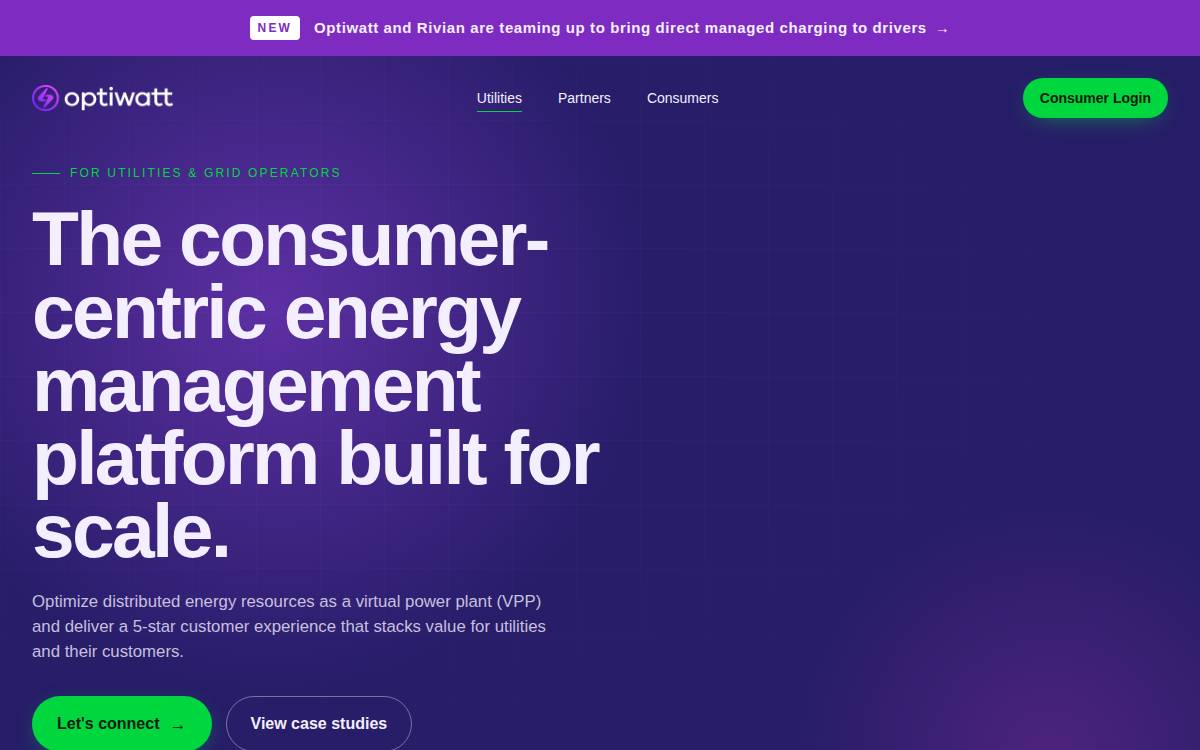 Optiwatt website preview