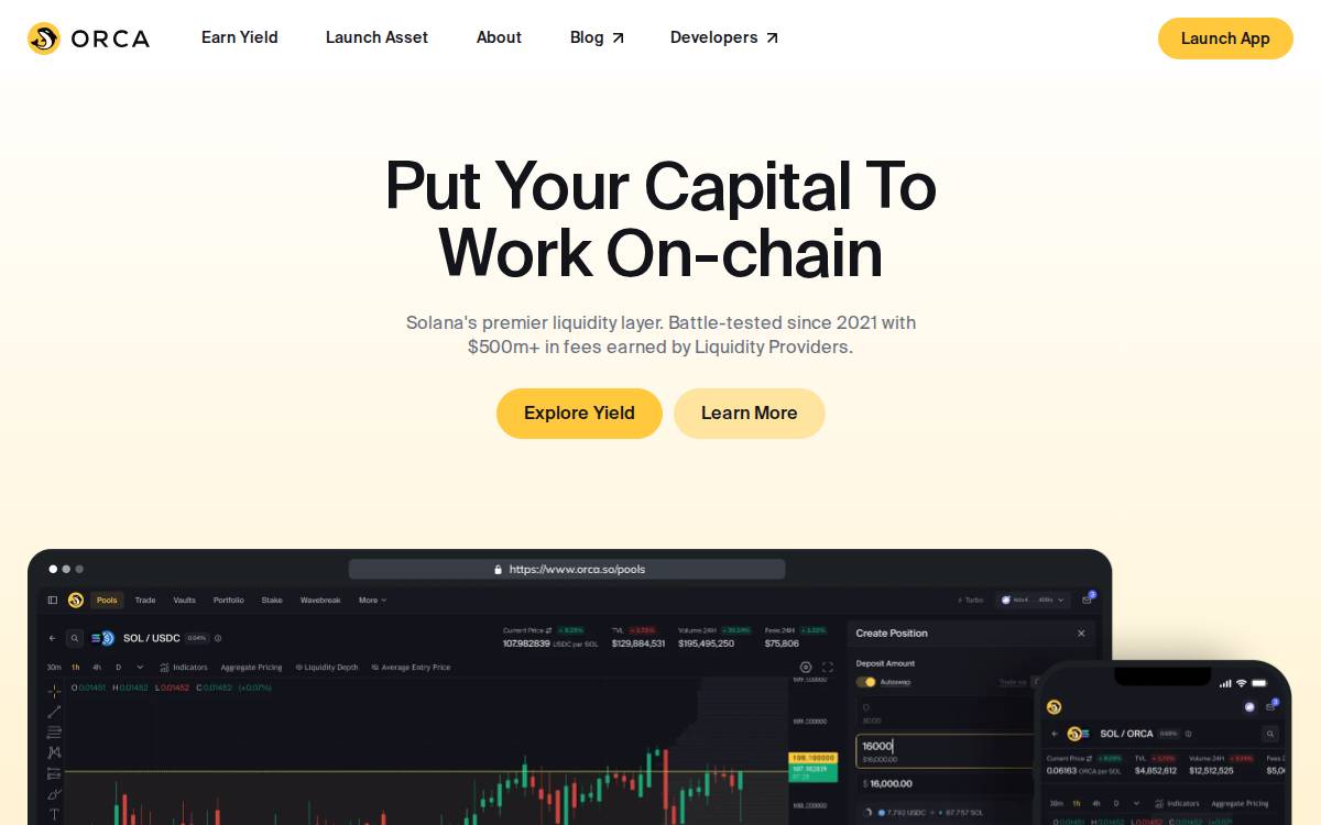 Orca website preview